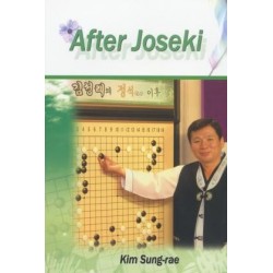 After joseki - Kim Sung-Rae